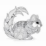 Squirrel Coloring Mandala Pages 123rf Exquisite Lovely Style sketch template