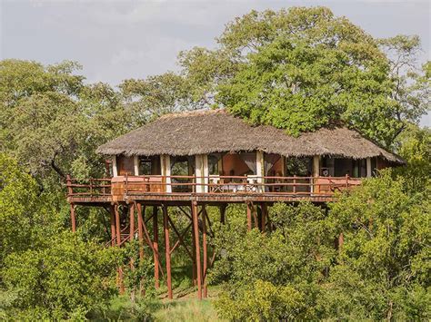 tarangire national park camps lodges pride drive  solutions limited