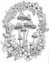 Coloring Mushrooms Toadstools sketch template