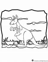 Kangaroo Coloring Pages Kangaroos Outline Printable Kids Clipart Color Cartoon Clip Baby Library Print Use Animal Popular Comments sketch template