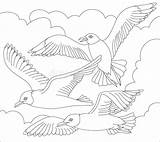 Gabbiani Colorare Disegno Volo Nero Seagulls sketch template