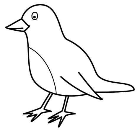 robin coloring page birds bird coloring pages super coloring