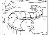 Millipede Coloring 180px 49kb sketch template