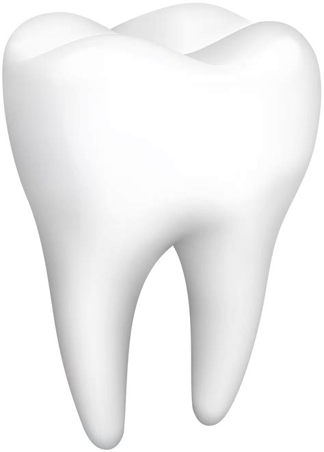 white teeth png  logo image