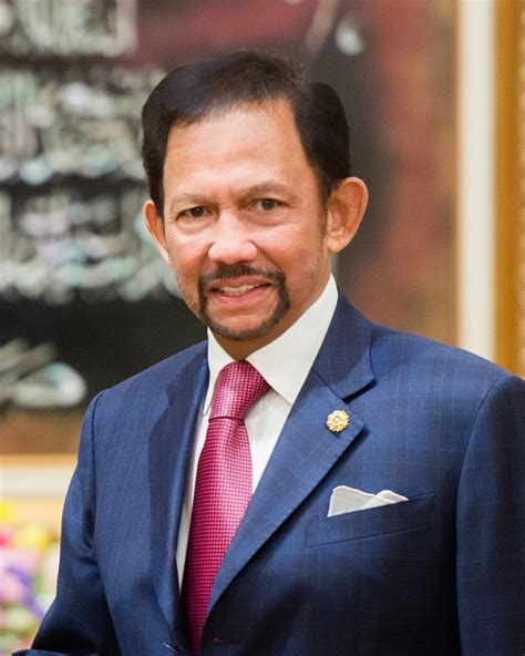 sultan  brunei starts state visit  viet nam