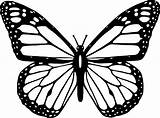 Butterfly Outline Clipart Clipartmag sketch template