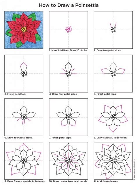 easy   draw  poinsettia tutorial video  poinsettia coloring page flower drawing