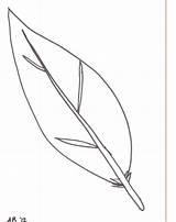 Feathers Coloringhome Sheets Clipartix sketch template