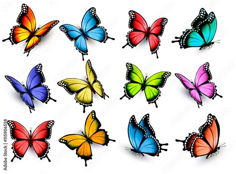 Collection Of Colorful Butterflies Flying In Different Directio Stock