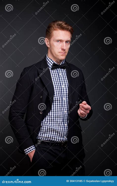 elegant man   suit stock image image  business