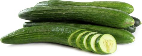 english cucumbers information  facts