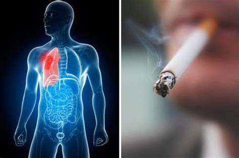 Effects Of Smoking On Body What Happens When You Quit Cigarettes