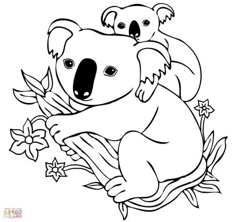 koala cartoon drawing  getdrawings
