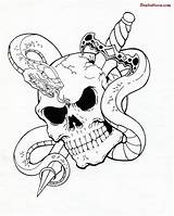 Snake Skull Tattoo Tribal Drawing Skulls Cool Sword Drawings Evil Rose Tattoos Dagger Pirate Sample Roses Getdrawings Designs Sketch 3d sketch template