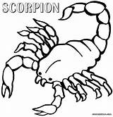 Scorpion Kombat Mortal Scorpions sketch template