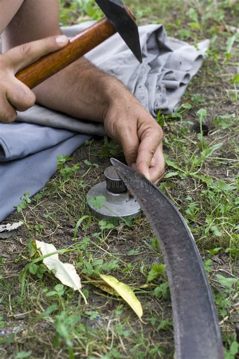 faux de tradition sur faucher le pre vert image stock image du