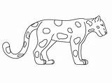 Coloring Pages Animal Animals Kids Jaguar Rainforest Printable Drawing Easy Outline Cartoon Drawings Print Jungle Realistic Sheets Grassland Color Clipart sketch template