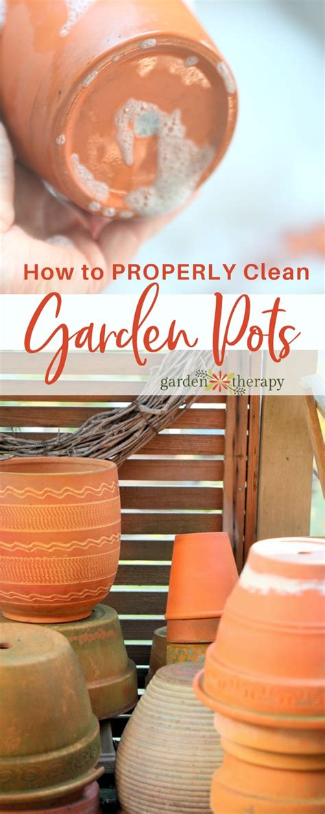 clean garden pots properly