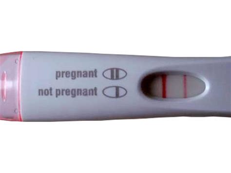 Walgreens One Step Analog Pregnancy Test False Positive Cpg Health