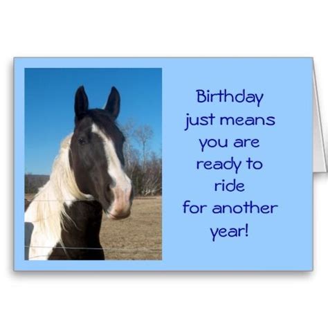 horse  birthday cards horse birthday card fitness