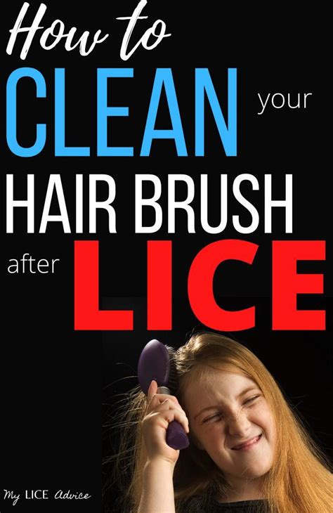 proven ways  clean  hair brushes  head lice hair brush