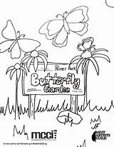 Butterfly Coloring Garden sketch template