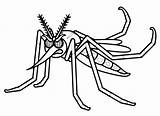 Mosquito Dengue Aedes Aegypti Insetti Zanzara Imagens Amarela Febre Colorir Arrabbiata Educação Coloradisegni Colorare Disegni Escolares Printable Ciclo Coisas Alfabetização sketch template