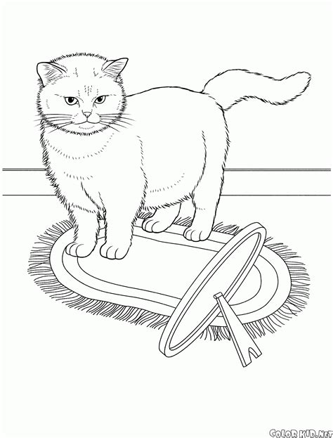 coloring page colorpoint