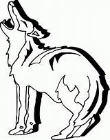 Coyote Canku Ota Stalk Insertion sketch template