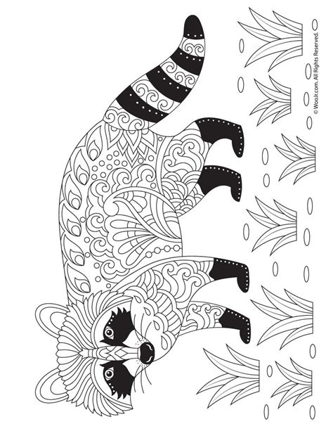 cute baby raccoon coloring page thekidsworksheet