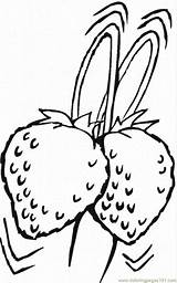 Berries sketch template
