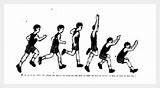 Lompat Gaya Jauh Melenting Berjalan Udara Teknik Olahraga Olahragapedia Berbagai Menggantung sketch template