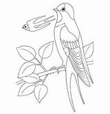 Colorare Rondine Swallow Coloring Disegni Rondini Schwalbe Ausmalbild sketch template