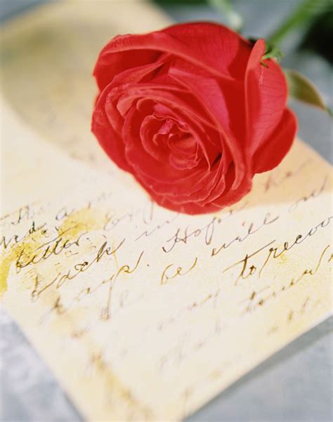 valentine s day poems for him and her top 10 romantic