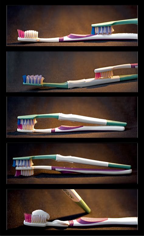 toothbrush sex nsfw herd of cats