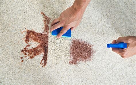 blood   carpet  ways  clean  carpet tripbobacom