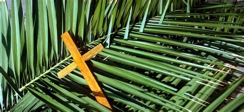 palm sunday palm sunday palm sunday