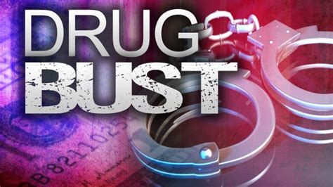 deputies make a huge drug bust in carroll county delta