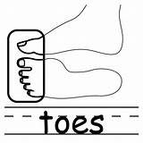 Elbow Clipart Toes Body Toe Clip Coloring Cliparts Parts Cartoon Library Use Find Presentations Websites Reports Powerpoint Projects These Clipground sketch template