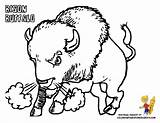 Bison Coloring Pages Buffalo Getdrawings Drawing sketch template