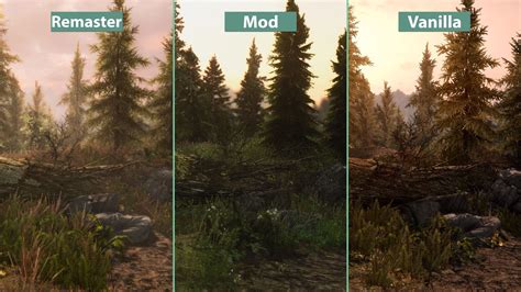 skyrim special edition  pc mods graphics comparison