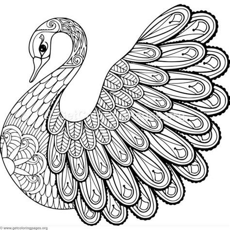 zentangle swan coloring pages coloring coloringbook