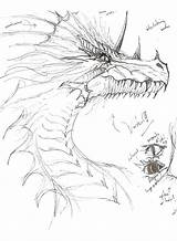 Dragon Evil Drawing Rough Hybrid Getdrawings Choose Board sketch template