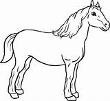 Cavalli Cavallo Stampare sketch template