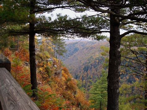 Wellsboro Pa Pa Grand Canyon Harrison State Park Photo Picture