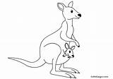 Canguro Disegno Colorare Cucciolo Canguri Tuttodisegni Kangaroo Kangaroos Canguros Visita Ausmalen Tutto Piccolo Scegli Bacheca sketch template