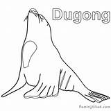 Dugong Coloringfolder sketch template