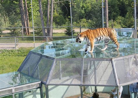 parc safari hemmingford