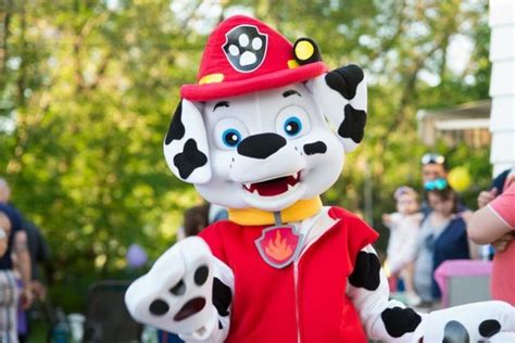 Marshall From Paw Patrol Birthday Party Characters For