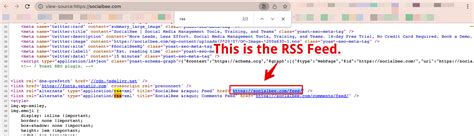 find  rss feed   website socialbee  documentation
